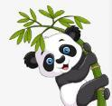 暗网下载APP应用